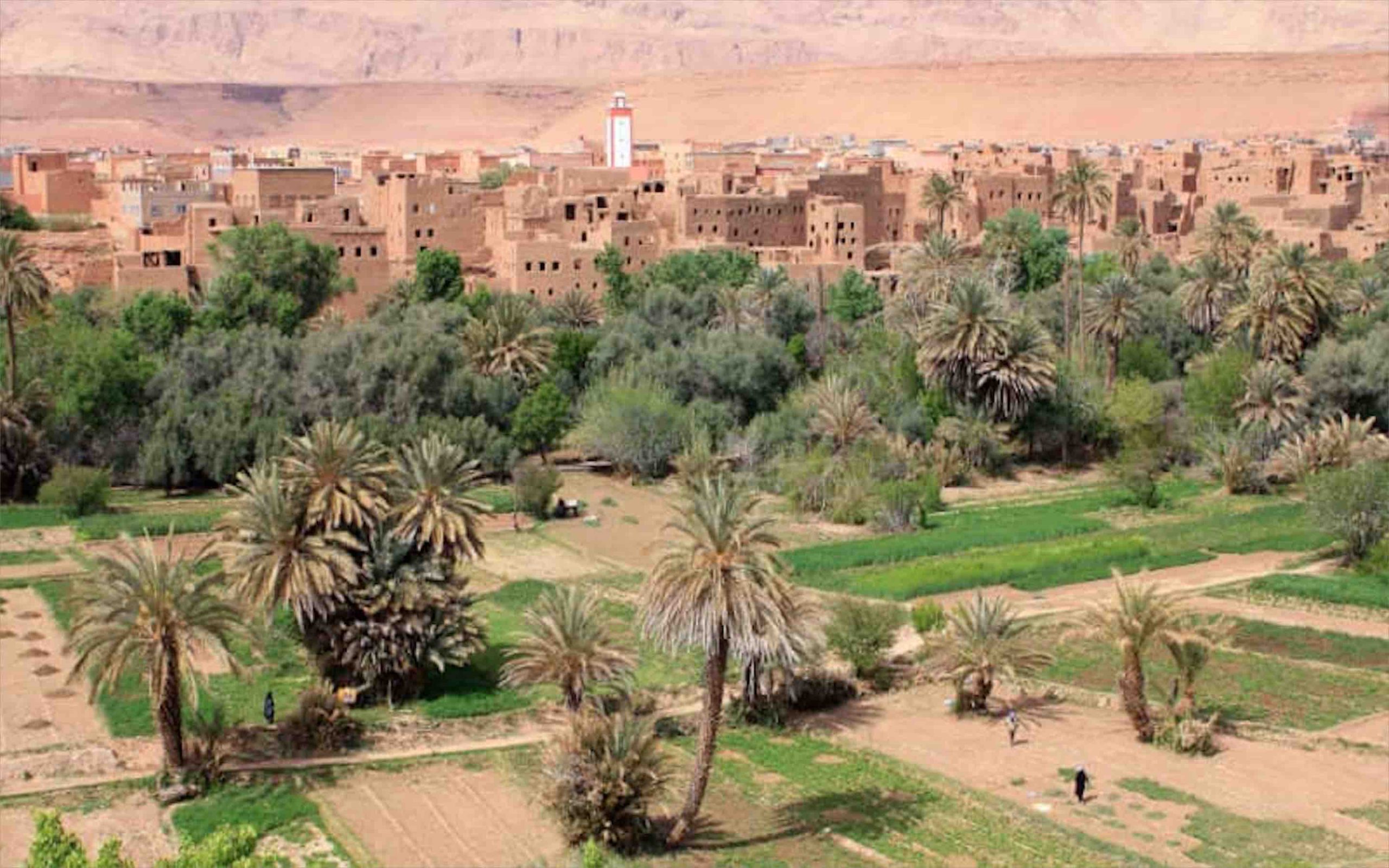 oasis Maroc Morocco