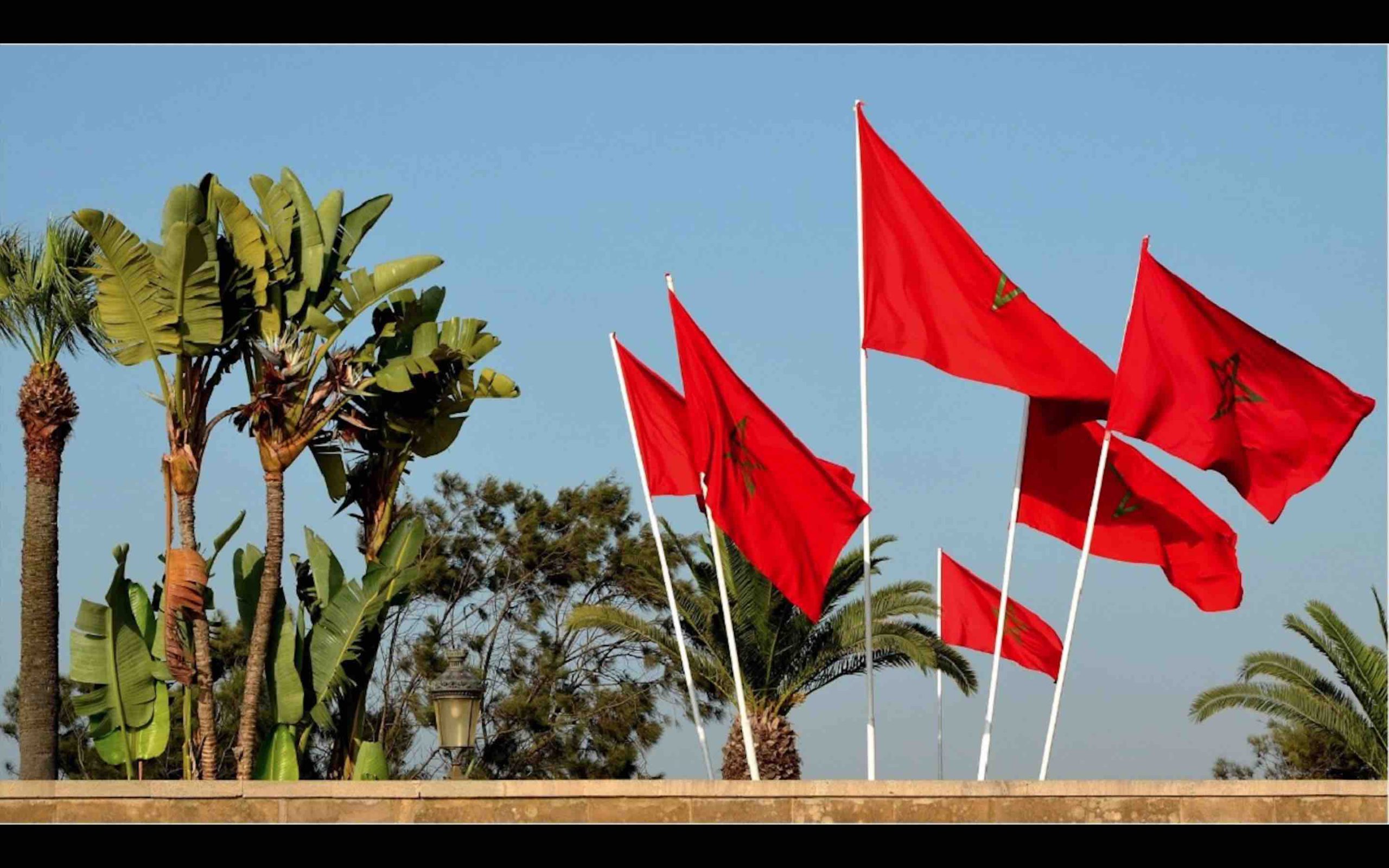 Maroc drapeau Morocco flag