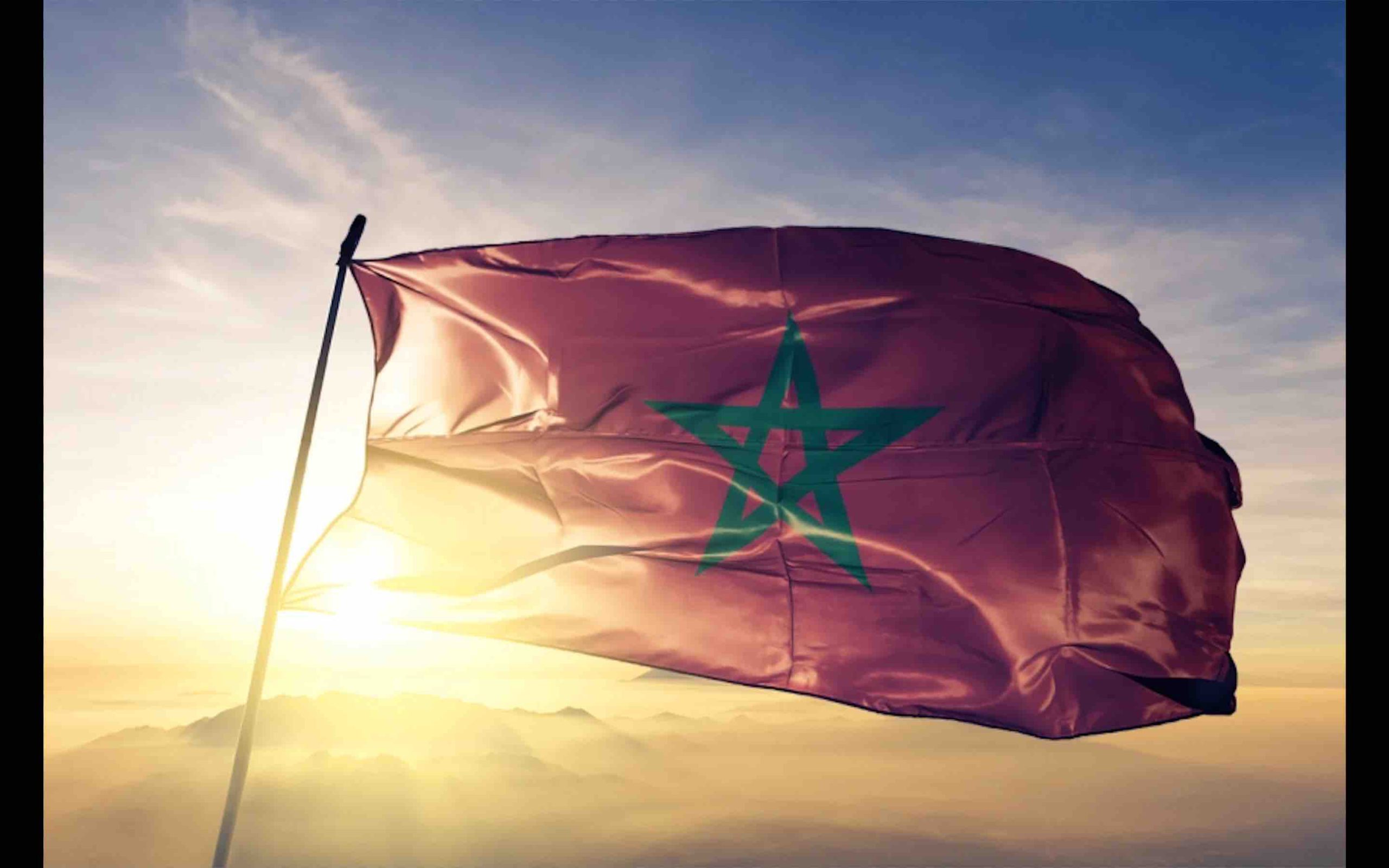 Sweatshirt Avec Emblème Doré Du Maroc & Drapeau - Hommage Au Royaume, Cadeau National Fierté Marocaine