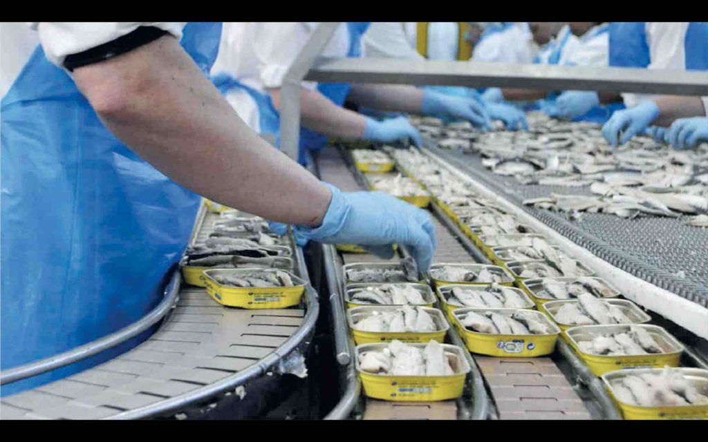 Le Maroc, 1er exportateur de sardine en conserve au monde