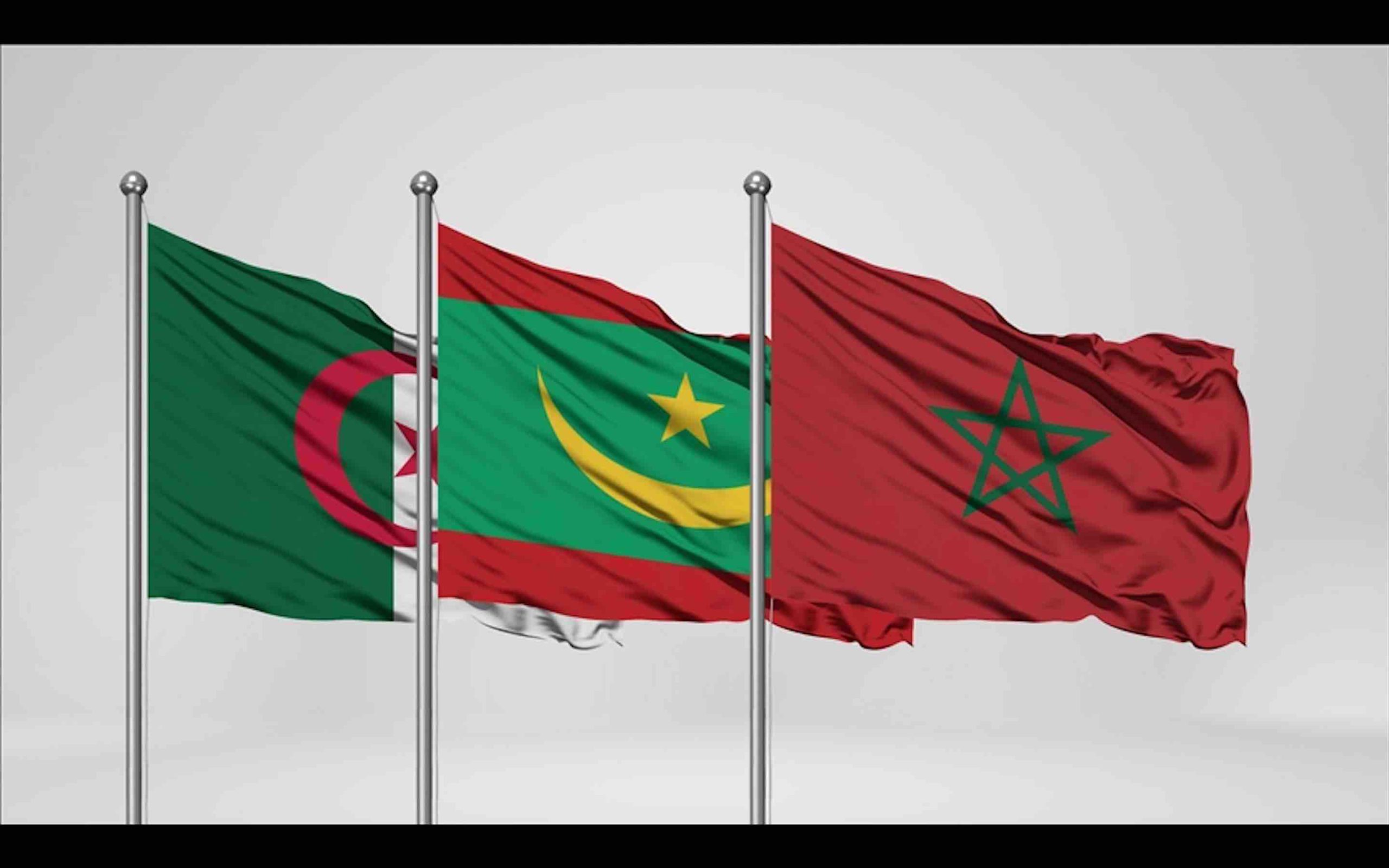 Ravages de la cochenille en Algérie : la presse accuse le Maroc – LPJM
