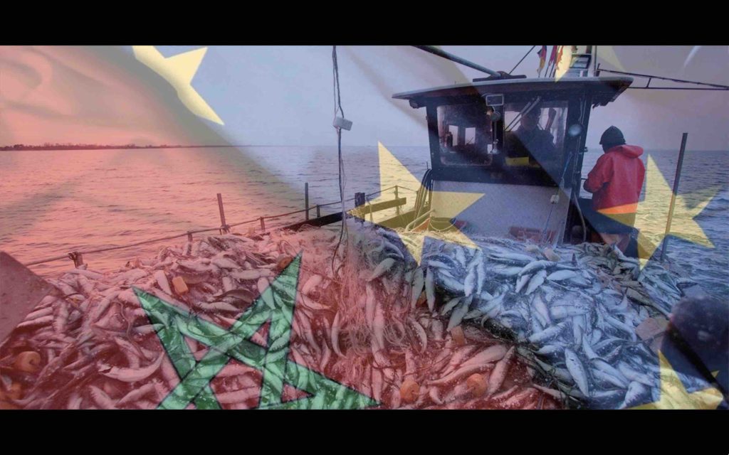 Union européenne Accord de pêche Maroc UE EU Morocco Europe Fishing Agreement