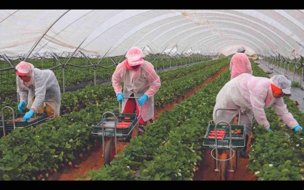 Huelva saisonnières marocaines Maroc Espagne