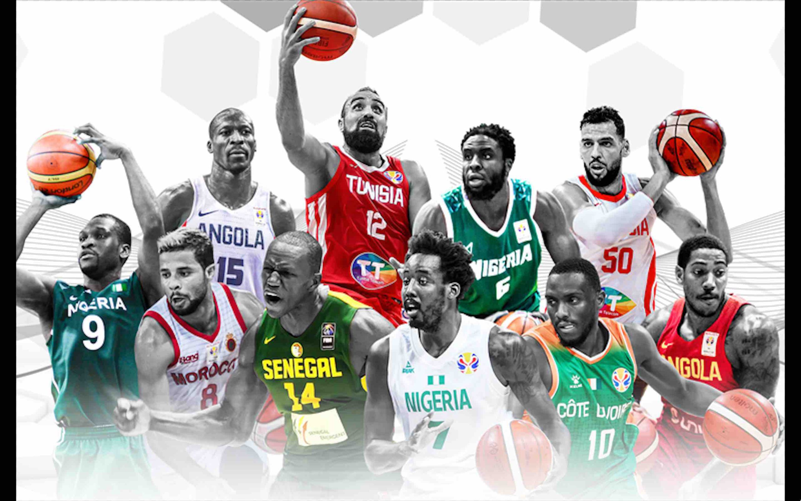 african basketball league