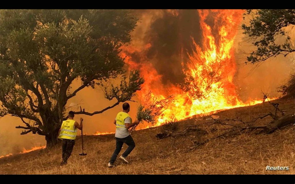 incendies feux de forêt Algérie Algeria fire