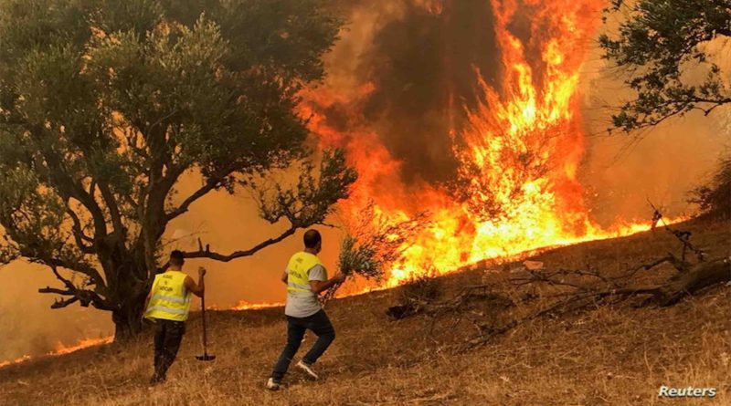 incendies feux de forêt Algérie Algeria fire