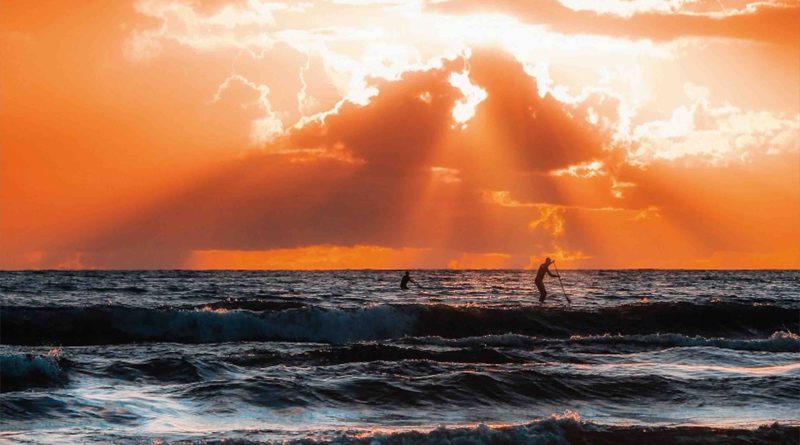 océan mer chaleur réchauffement eau température chaleur canicule