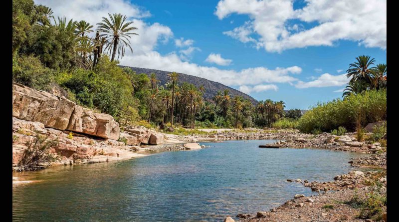 oasis Maroc Morocco