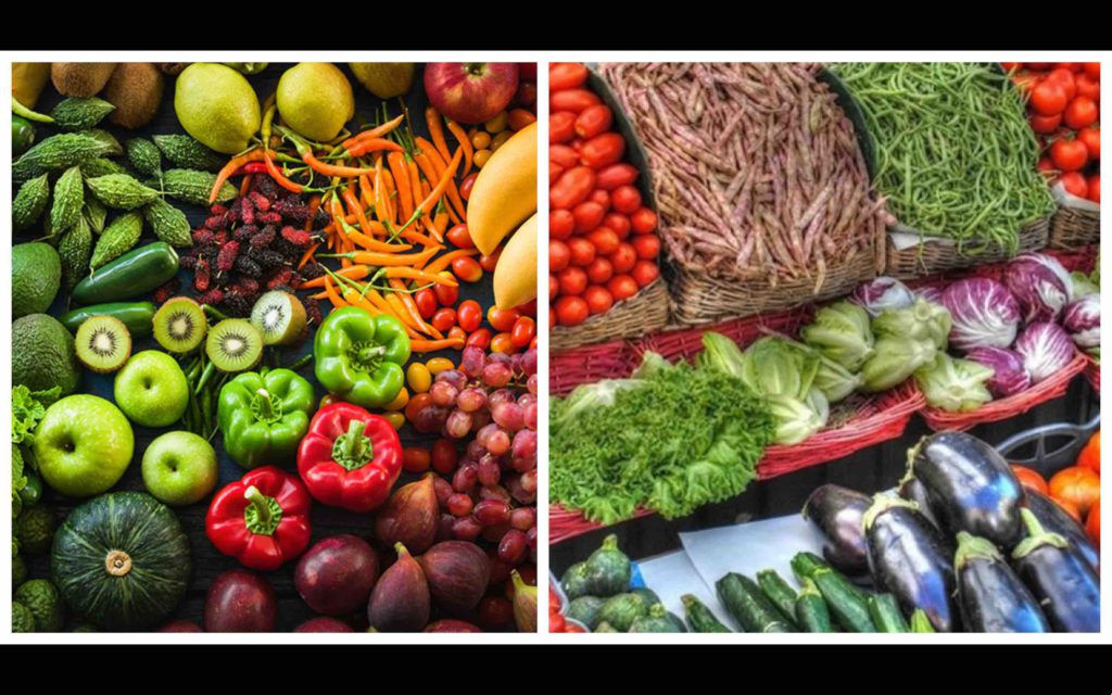 horticulture Maroc fruits légumes