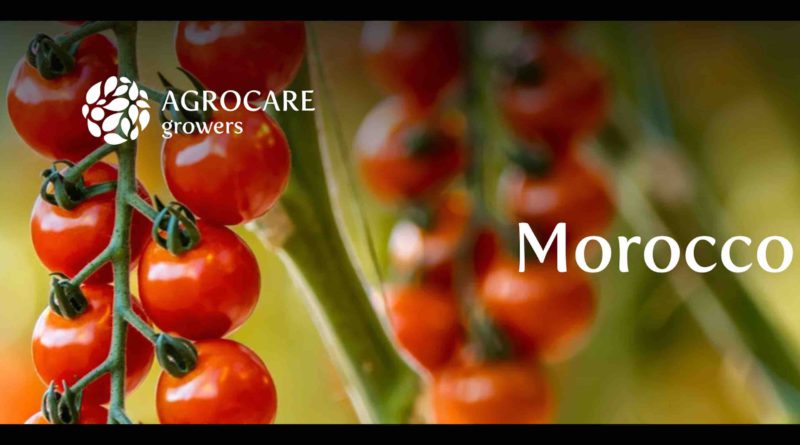 Agro Care Maroc Morocco