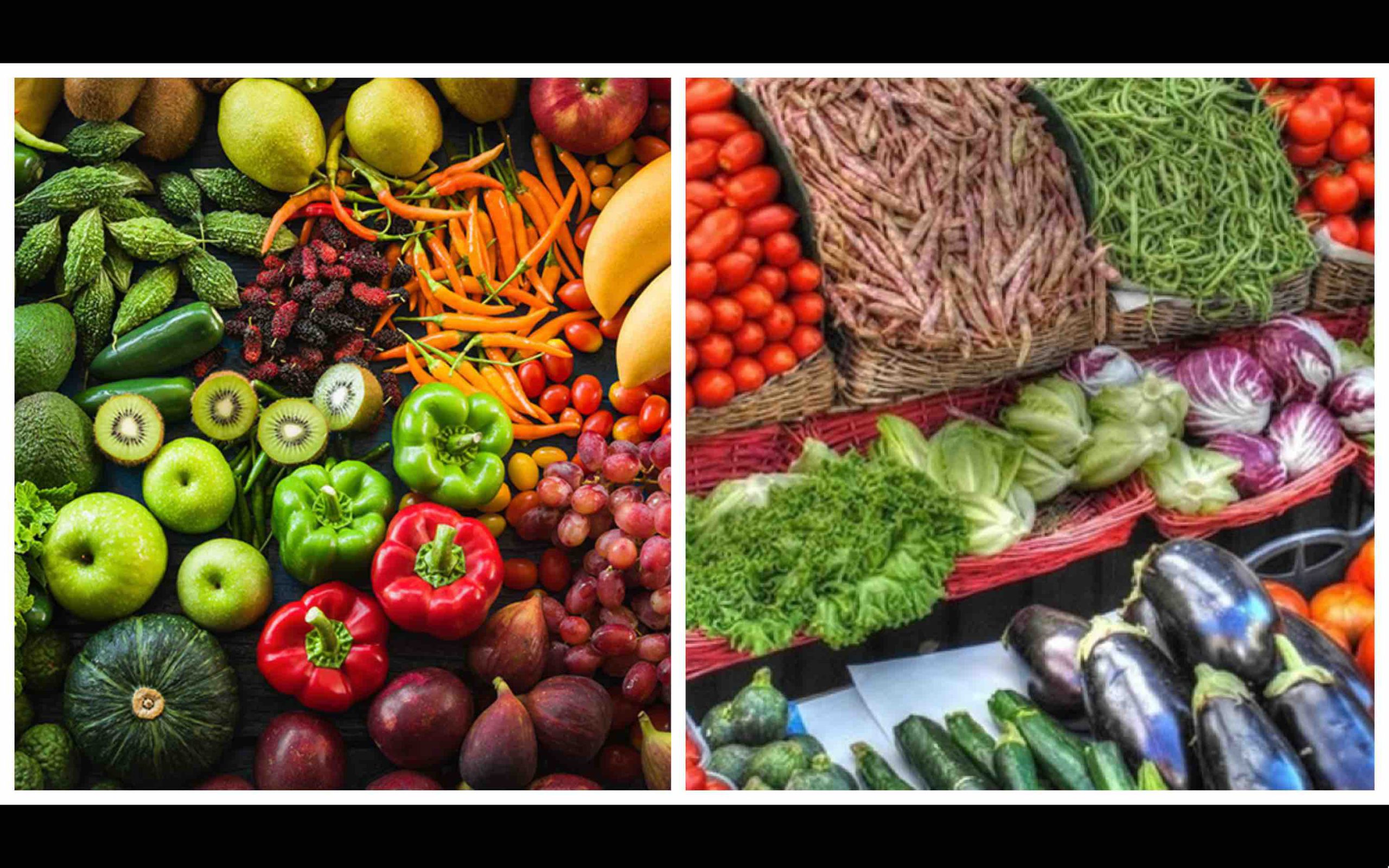 horticulture Maroc fruits légumes