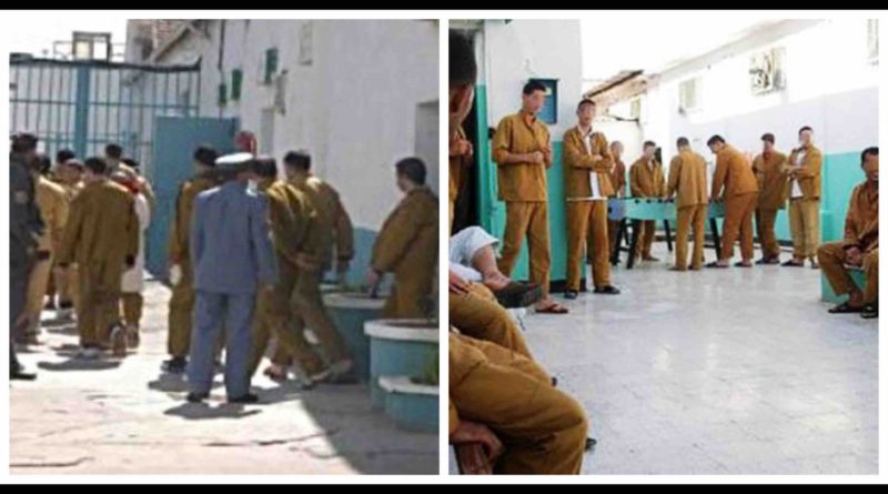prison algérienne prisonniers détenus Algérie