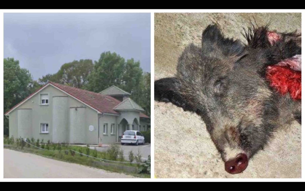 France mosquée Attawba Contrexéville tête de sanglier