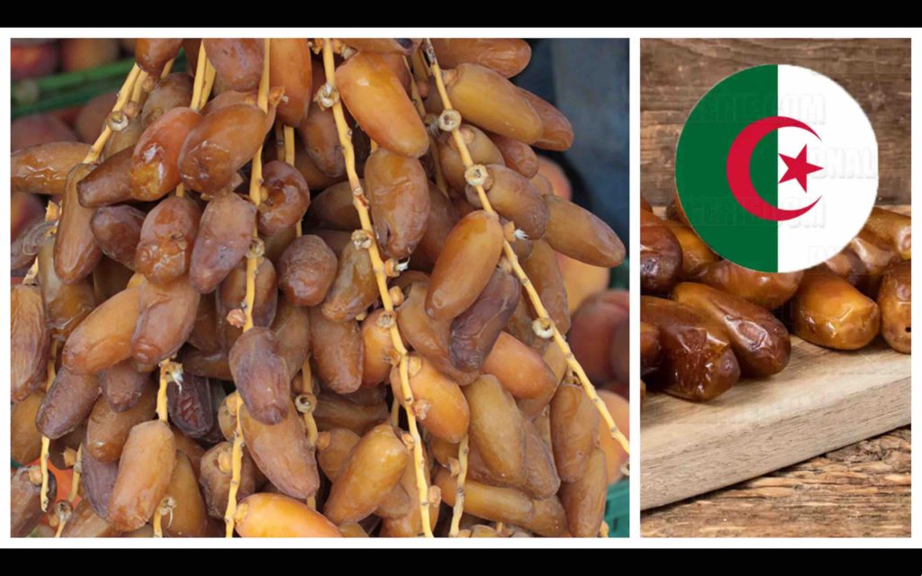 dattes Algérie Maroc