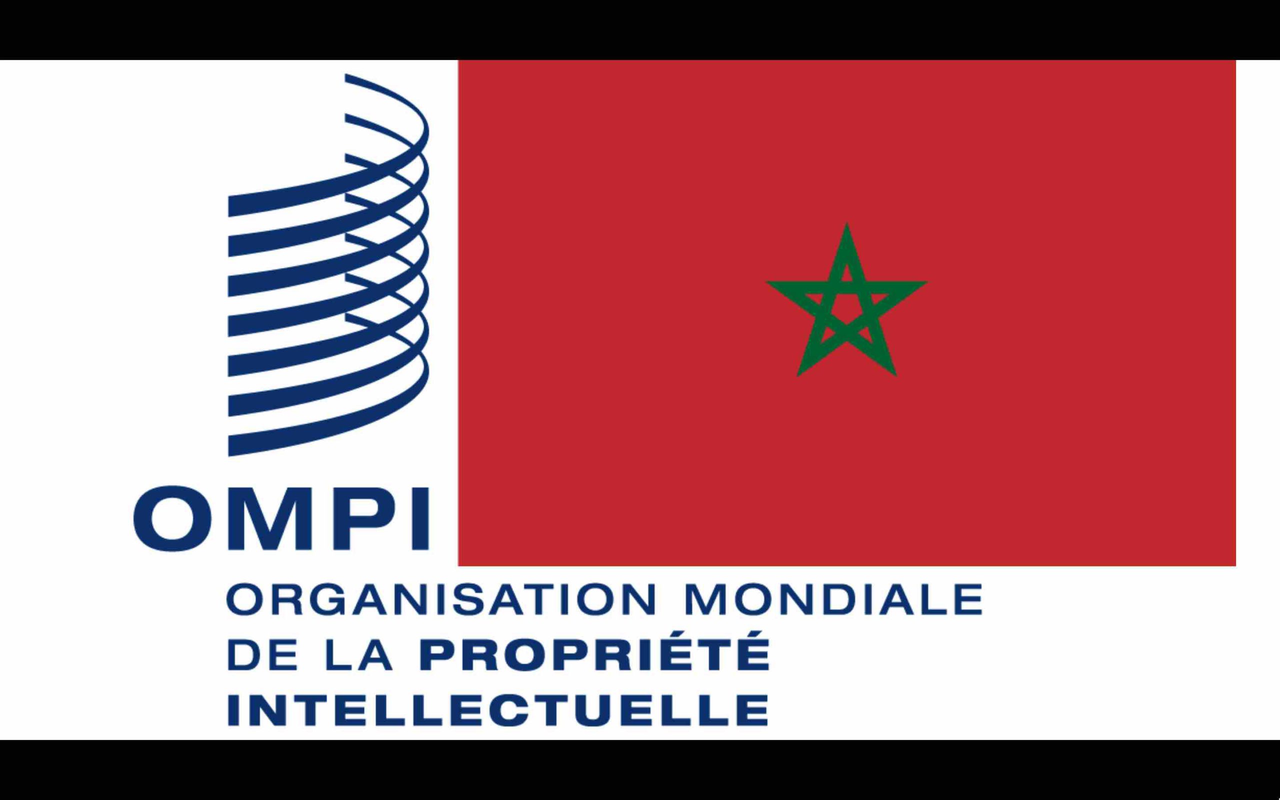 Organisation mondiale de la propriété intellectuelle OMPI Maroc