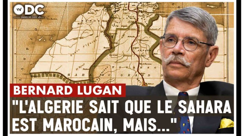 Le Sahara occidental en 10 questions avec Bernard Lugan
