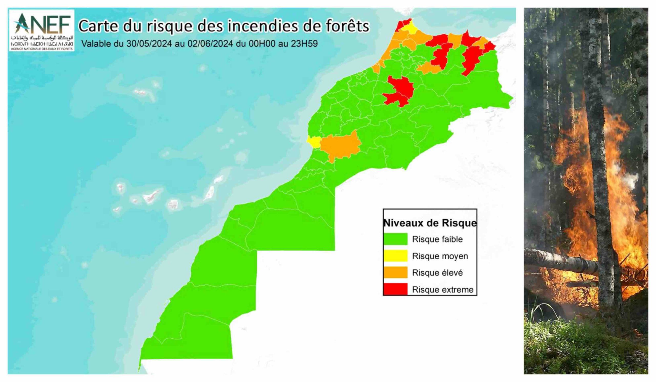 ANEF Agence Nationale des Eaux et Forêts Maroc carte risque incendies feux feu forêt