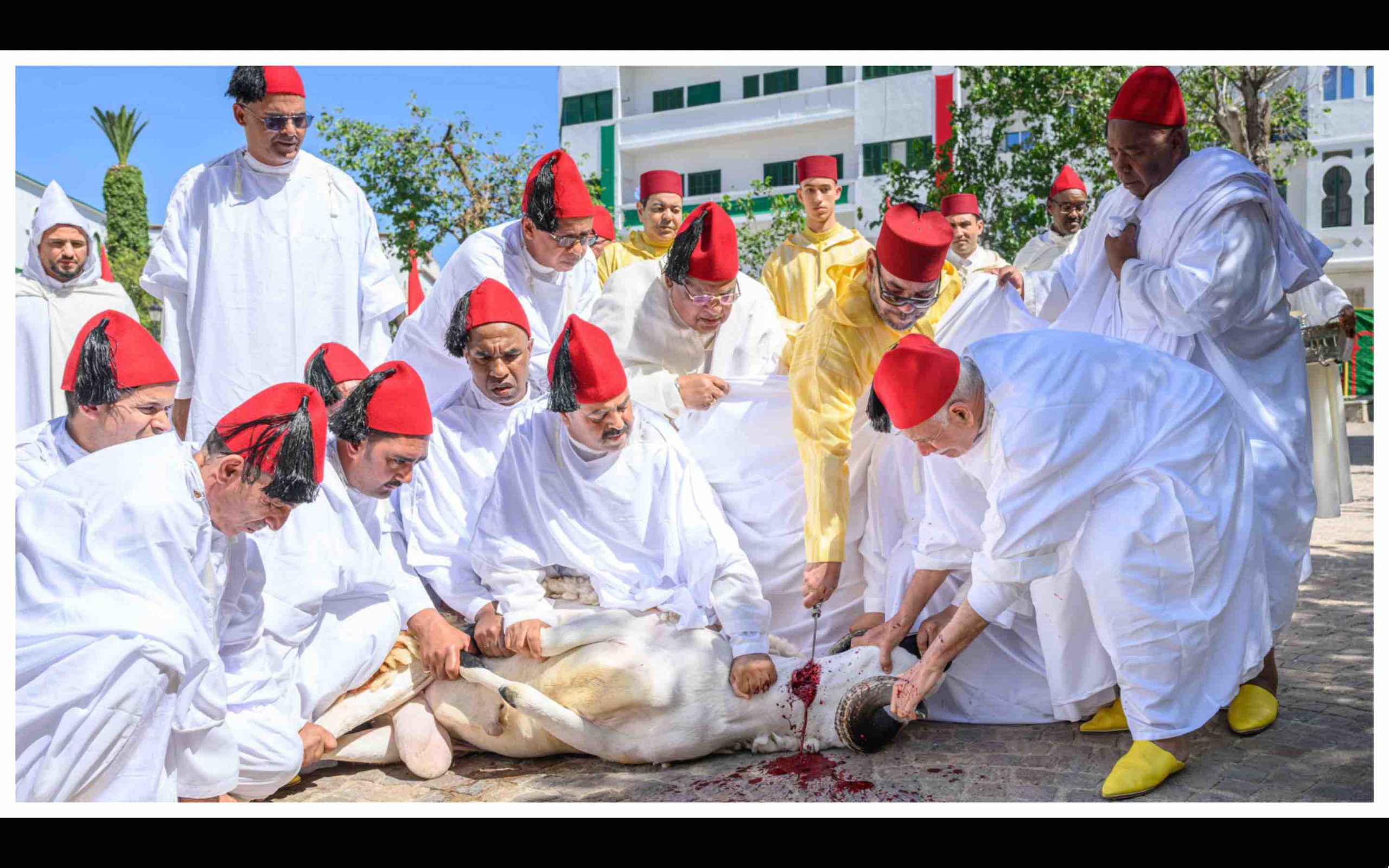Aïd Al-Adha Maroc roi Mohammed 6 sacrifice