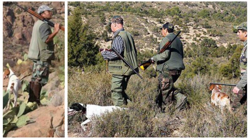 chasse chasseurs chiens Maroc