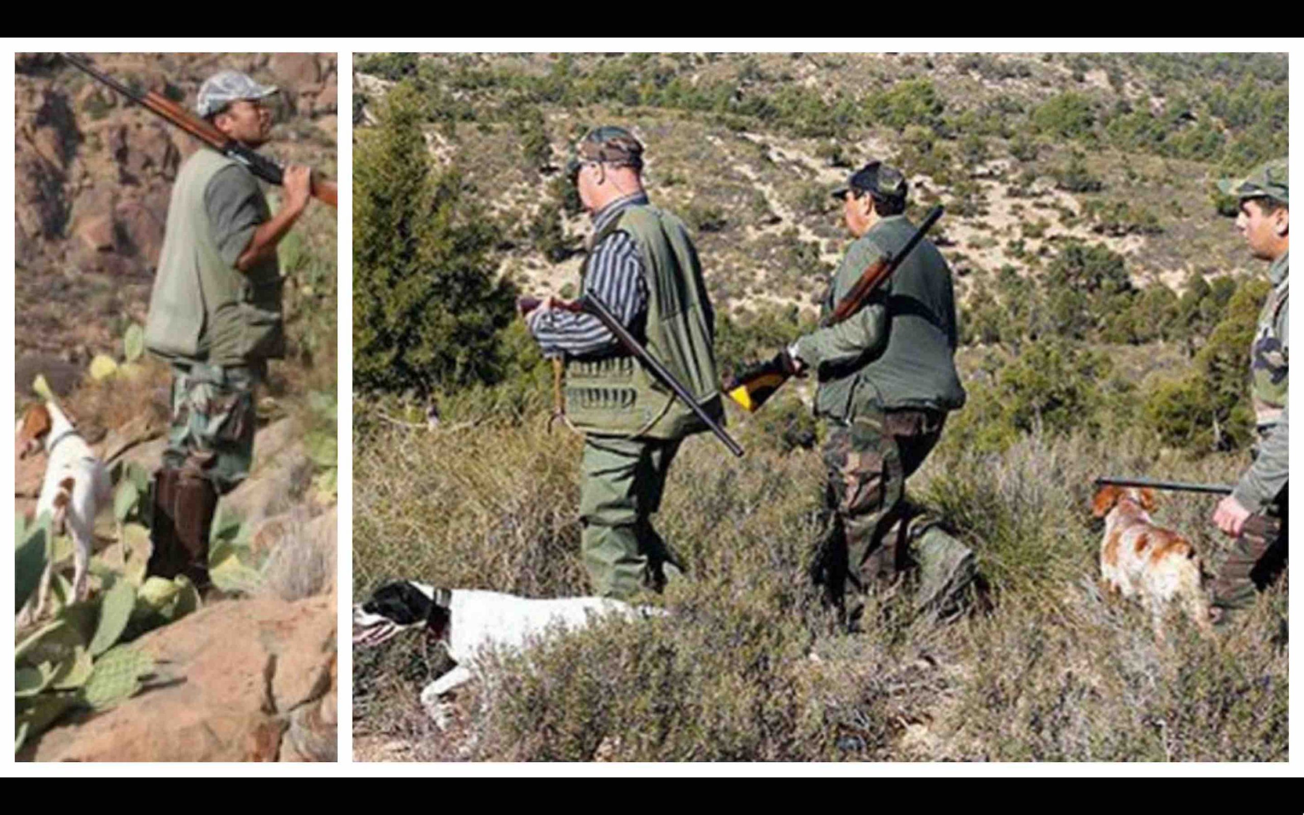 chasse chasseurs chiens Maroc