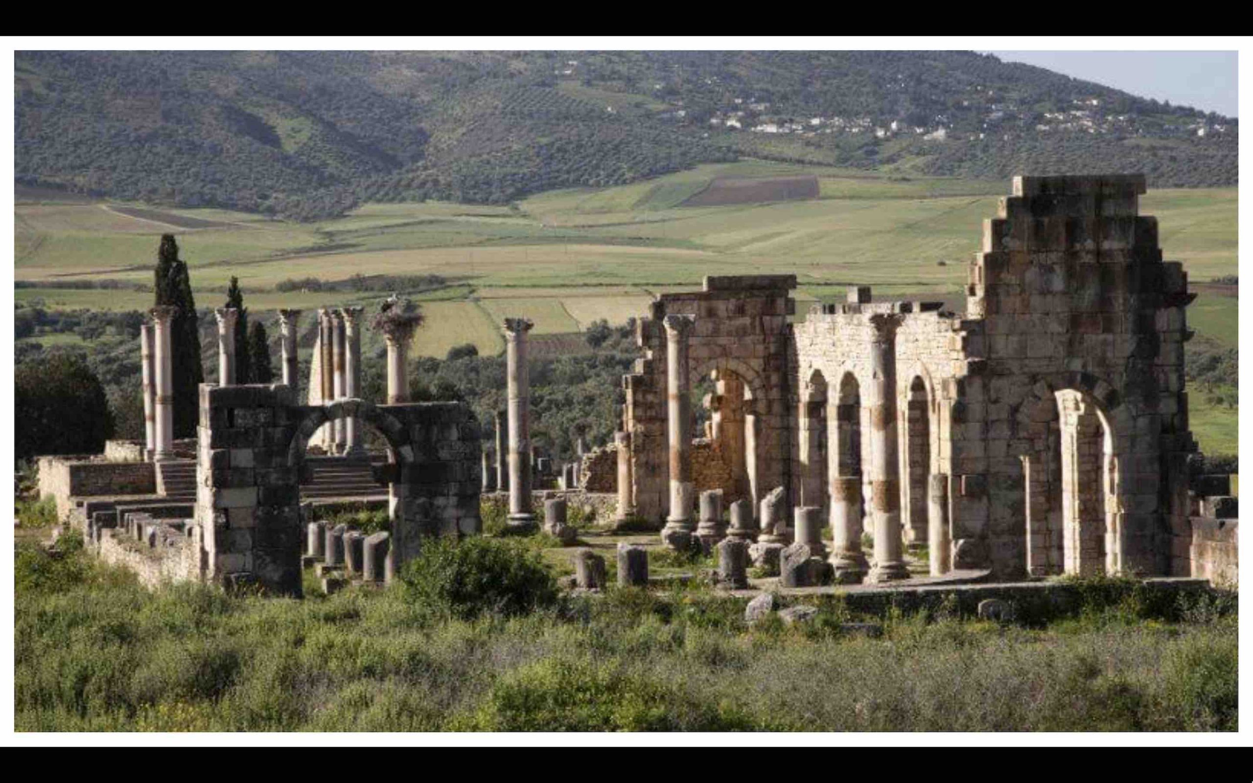 Volubilis Meknès Maroc Morocco