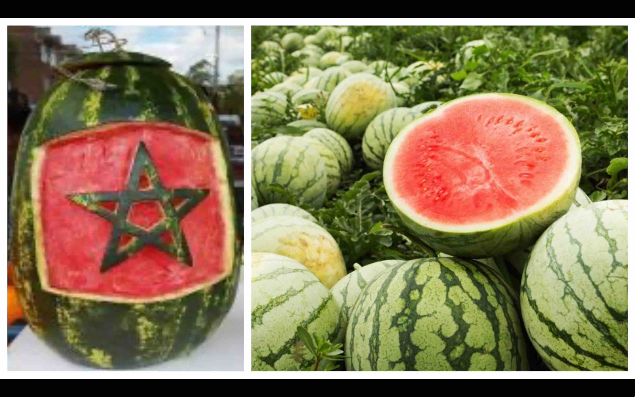 pastèque Maroc watermelon Morocco