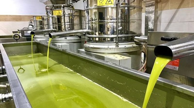 usine huile d'olive Maroc