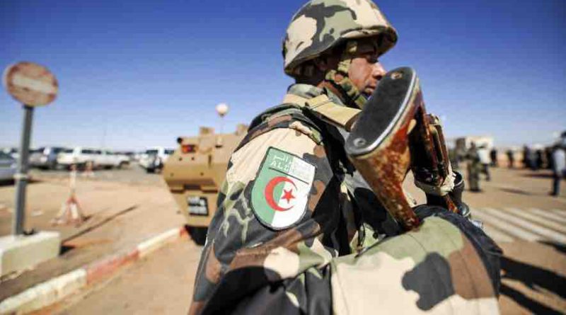 Algérie soldat algérien armée algérienne